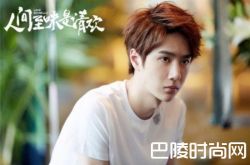 人间至味是清欢结局是什么 人间至味是清欢收官