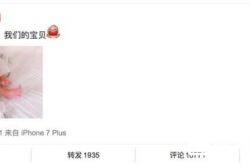 主持人朱丹喜得千金 老公个人资料曝光居然是他