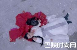 烈火如歌熏衣真实身份曝光 惨遭背叛如歌失忆银雪寒咒再度发作
