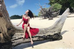 秦岚海滩写真大片曝光 红色吊带长裙好诱惑