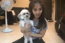 陈芳语廖俊杰分手原因是什么？陈芳语在圈中人缘极佳