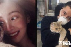 金晨前男友都有谁？金晨否认和和贾乃亮恋情