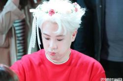 表志勋dara在交往吗？两人真的在一起了吗