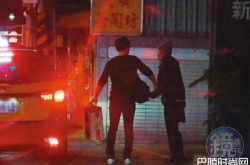 29岁李淳圣诞节深夜约会 大6岁女友已见过李安