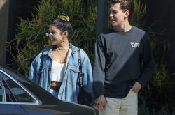 凡妮莎哈金斯9年情断 无预警分手猫王男友