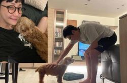 谢欣颖热恋2个月当夫妻 甜伴王柏杰相夫教子