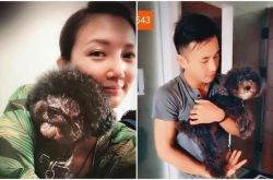 傅子纯结婚了吗？爆秘婚3年全为保护她