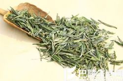 竹叶青茶怎么样? 详解竹叶青茶的功效与作用