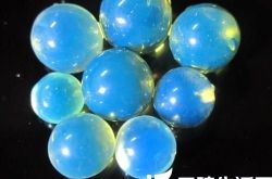 怎么正确地挑选蓝珀圆珠