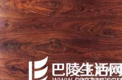 如何辨别红酸枝木与白酸枝木