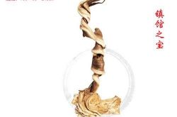 史上最贵崖柏根艺雕刻作品图片鉴赏——《飞龙在天》