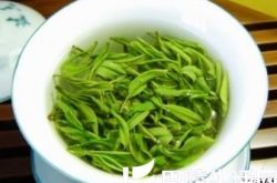 绿茶鉴别知识：怎样鉴别信阳毛尖的真假？如何区分信阳...