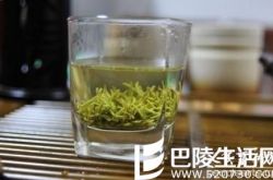 冲泡洞庭西山碧螺春的水温应该控制在多少摄氏度为好？