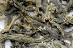 新疆罗布麻茶治疗高血压有哪三个阶段