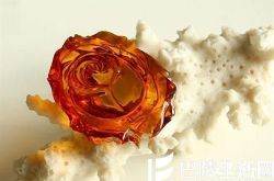 如何从视觉上鉴别血珀