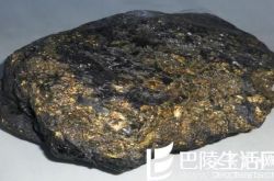 煤精和琥珀分别是什么？