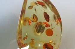 为何要对琥珀进行优化