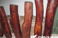 酸枝木种类及特点