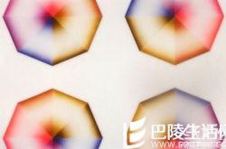 国际女性艺术博物馆获得波伏娃女性自由奖