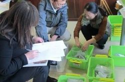 廊坊博物馆馆藏增添四万七千余枚唐宋时期古钱币