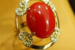 怎样区分阿卡红珊瑚与莫莫珊瑚