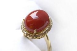 阿卡、莫莫与沙丁珊瑚的介绍