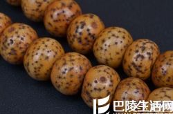 几张开片老星月菩提图片