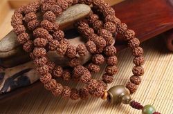 看完这几张图片轻松辨别金刚菩提子真假