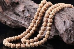 世界上金刚菩提子的产地有哪些