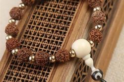 不同瓣数的金刚菩提子的寓意