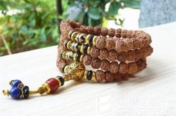 金刚菩提的四种桩型介绍