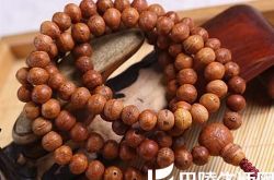 世界上凤眼菩提的产地有哪些