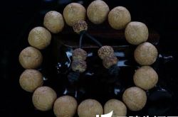 尼泊尔出产小凤眼菩提吗