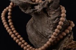 有漏眼（瞎眼）的凤眼菩提好不好