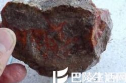 巨珍贵的极品老战国红玛瑙原石图片欣赏