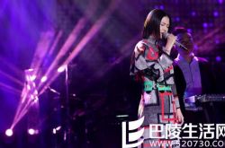 谭维维陷抄袭门 谭维维公开致歉