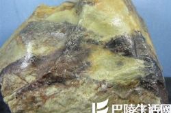 浙江青田石值钱吗  浙江极品青田石图片欣赏