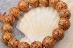 龙眼菩提子的产地和种类