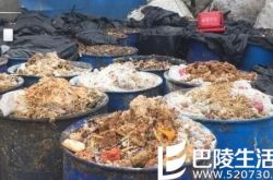 养殖场喂猪吃肯德基 “二师兄”瞬间变土豪