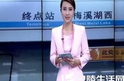 记者被地铁带走 女主播淡定回应：这是一次特别连线