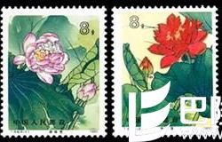 今日（2015年12月24日）JT邮票行情报价