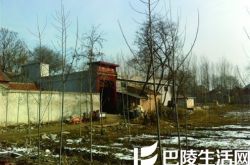 济南女子捅死婆婆后服药自杀 曾敲门告诉邻居自己杀人了