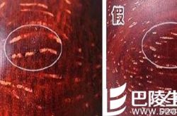 爆金星小叶紫檀的真假图片对比 小叶紫檀有什么功效?