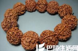 大金刚菩提黄皮好还是红皮好? 大金刚菩提怎么盘?