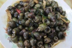 螺丝的做法大全 螺丝的家常做法图 螺丝怎么做好吃又简单