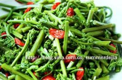 蕨菜的做法大全 蕨菜的家常做法图 蕨菜怎么做好吃又简单
