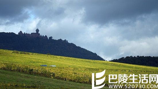 全球最值得游览的15条葡萄酒之路（上）