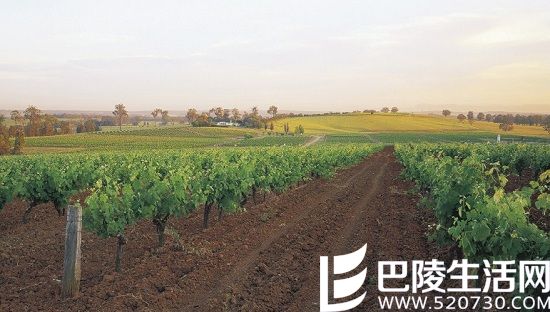 全球最值得游览的15条葡萄酒之路（上）