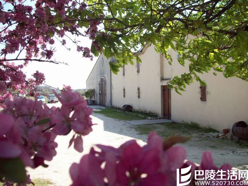 拥抱太阳的中级庄——金庄古堡