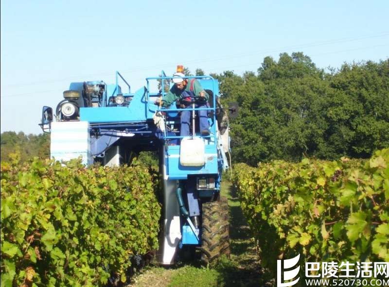 拥抱太阳的中级庄——金庄古堡 拥抱太阳的中级庄——金庄古堡